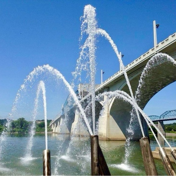 Meet your Posher, Warren - Picture 11 of 11